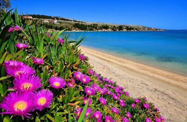 Little Heaven On Earth - Apartmani Martina Vlašići 외부 사진